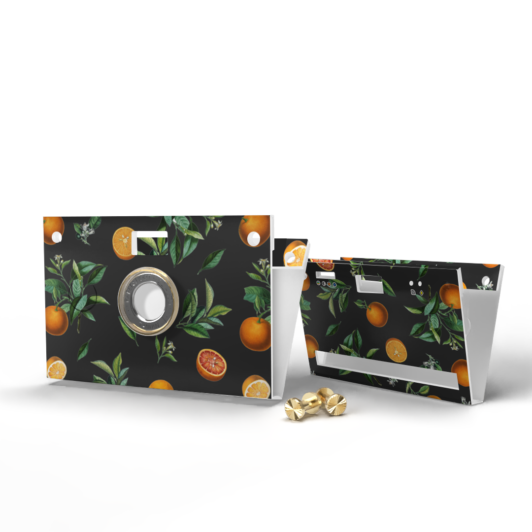 Paper Case -Valencia Oranges